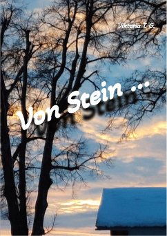 Cover Von Stein (eBook, ePUB)