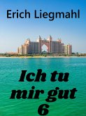 Ich tu mir gut 6 (eBook, ePUB)