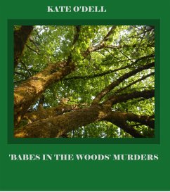 Cover 'Babes in the Woods' Murders (eBook, ePUB)