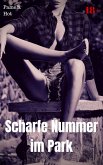 Scharfe Nummer im Park (eBook, ePUB)