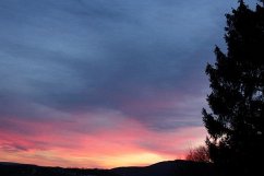 Cover Musings From LiomsaLand (eBook, ePUB)