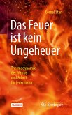 Das Feuer ist kein Ungeheuer (eBook, PDF)