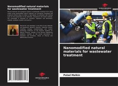 Nanomodified natural materials for wastewater treatment - Malkin, Polad