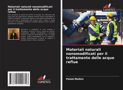 Materiali naturali nanomodificati per il trattamento delle acque reflue - Malkin, Polad