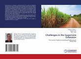 Challenges in the Sugarcane Extension