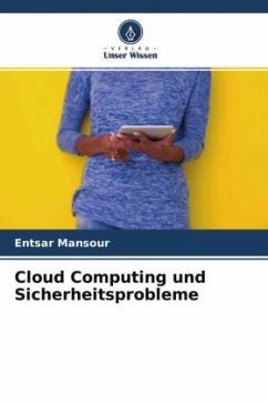 Cloud Computing und Sicherheitsprobleme - Mansour, Entsar