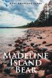 Madeline Island Bear - Bild 1