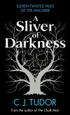 A Sliver of Darkness (eBook, ePUB)