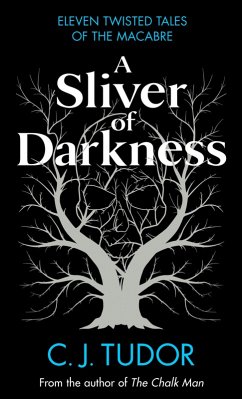 A Sliver of Darkness (eBook, ePUB) - Tudor, C. J.