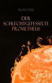 Der schlechtgefesselte Prometheus (eBook, ePUB)