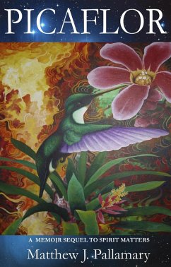 Picaflor: A Memoir Sequel to Spirit Matters (The Continuing Adventures of Shamanic Explorer Matthew (Mateo) J. Pallamary, #2) (eBook, ePUB) - Pallamary, Matthew J.