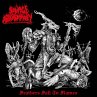 Feathers Fall To Flames (Jewel Case) - Bild 1