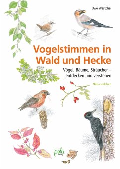 Vogelstimmen in Wald und Hecke (eBook, PDF) - Westphal, Uwe