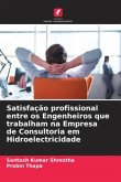 Satisfação profissional entre os Engenheiros que trabalham na Empresa de Consultoria em Hidroelectricidade