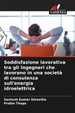 Soddisfazione lavorativa tra gli ingegneri che lavorano in una società di consulenza sull'energia idroelettrica