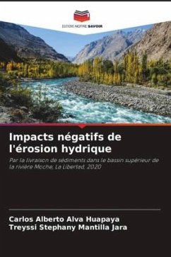 Impacts négatifs de l'érosion hydrique - Alva Huapaya, Carlos Alberto;Mantilla Jara, Treyssi Stephany