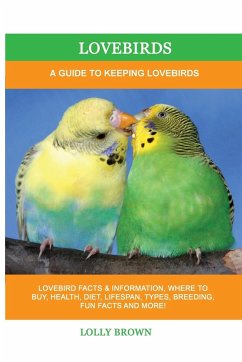 Lovebirds - Brown, Lolly