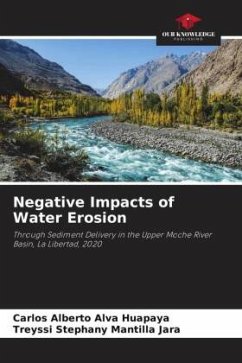 Negative Impacts of Water Erosion - Alva Huapaya, Carlos Alberto;Mantilla Jara, Treyssi Stephany