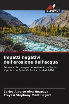 Impatti negativi dell'erosione dell'acqua - Alva Huapaya, Carlos Alberto;Mantilla Jara, Treyssi Stephany