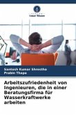 Arbeitszufriedenheit von Ingenieuren, die in einer Beratungsfirma für Wasserkraftwerke arbeiten