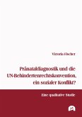 Pränataldiagnostik und die UN-Behindertenrechtskonvention, ein sozialer Konflikt? (eBook, PDF)