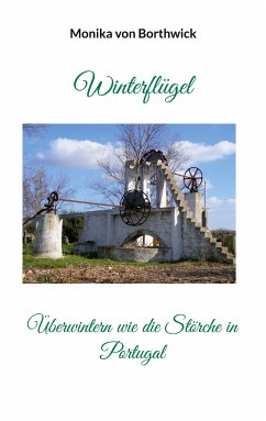 Winterflügel (eBook, ePUB)