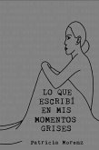 Lo que escribí en mis momentos grises (Lo que escribí..., #2) (eBook, ePUB) Lo que escribí en mis momentos grises (Lo que escribí..., #2) (eBook, ePUB)
