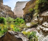 Dead Man Mysteries (eBook, ePUB)