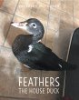 Feathers the House Duck (eBook, ePUB) - Bild 1