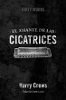 El amante de las cicatrices (eBook,... - Bild 1
