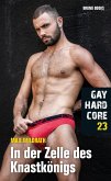 Gay Hardcore 23: In der Zelle des Knastkönigs