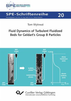 Fluid Dynamics of Turbulent Fluidized Beds for Geldart¿s Group B Particles - Wytrwat, Tom