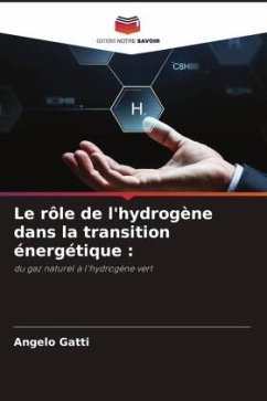 Le rôle de l'hydrogène dans la transition énergétique : - Gatti, Angelo