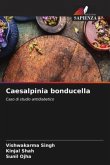Caesalpinia bonducella