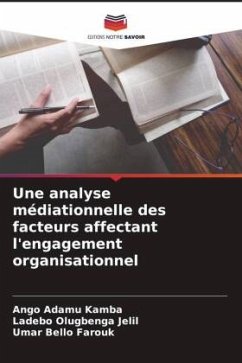 Une analyse médiationnelle des facteurs affectant l'engagement organisationnel - Adamu Kamba, Ango;Olugbenga Jelil, Ladebo;Bello Farouk, Umar