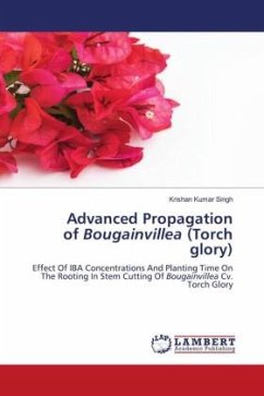 Advanced Propagation of Bougainvillea (Torch glory)