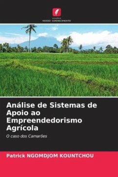 Análise de Sistemas de Apoio ao Empreendedorismo Agrícola - NGOMDJOM KOUNTCHOU, Patrick