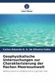 Geophysikalische Untersuchungen zur Charakterisierung der flachen Meeresumwelt