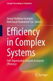 Efficiency in Complex Systems (eBook, PDF)