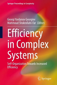 Efficiency in Complex Systems (eBook, PDF)