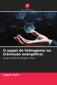 O papel do hidrogénio na transição energética: - Gatti, Angelo