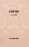 A Bad Boy (eBook, ePUB)