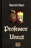 Professor Unrat (eBook, ePUB)