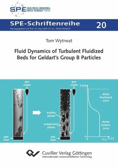 Fluid Dynamics of Turbulent Fluidized Beds for Geldart’s Group B Particles (eBook, PDF)