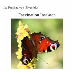 Faszination Insekten (eBook, ePUB)