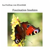 Faszination Insekten (eBook, ePUB)