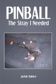 Pinball (eBook, ePUB)