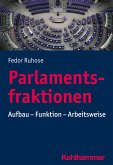 Parlamentsfraktionen (eBook, ePUB)