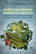 Análise das Agendas Ambiental e... - Bild 1
