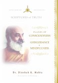 Planes of Consciousness, Godguidance & Mindfulness